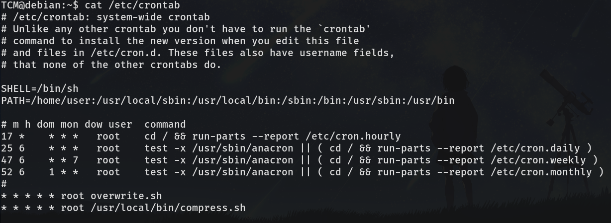 tcm-linux-priv-esc-image-41.png